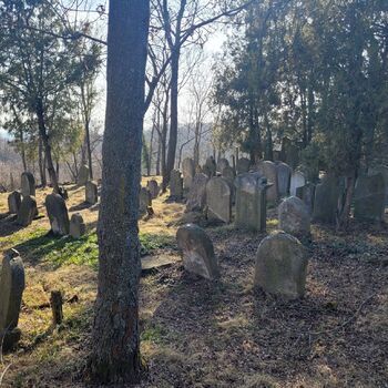 Burial Ground Burial Ground