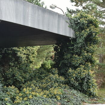 Opuštěná obřadní síň Opuštěná obřadní síň