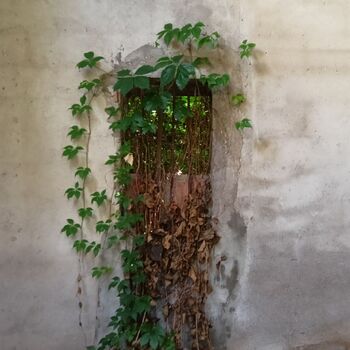 Portis město duchů