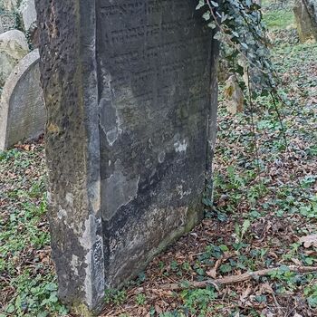 Jüdischer Friedhof 2024