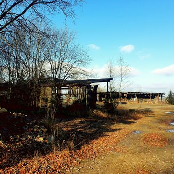 struktura skleníkové budova