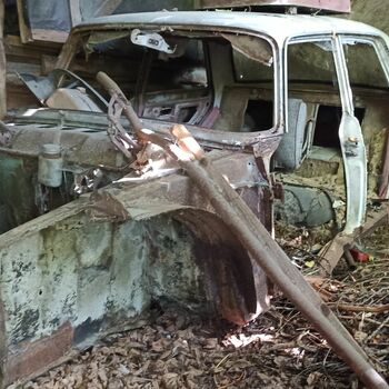 Abandoned House 2022