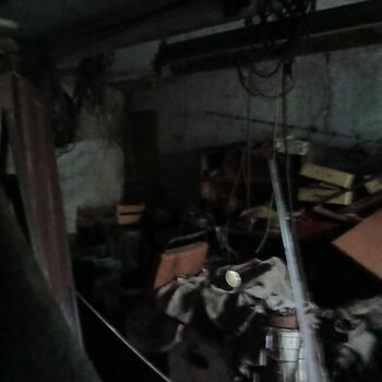 Homestead with a pond