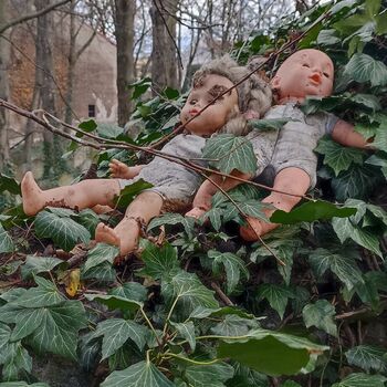 Jüdischer Friedhof 2024