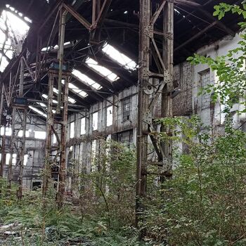 Gewächshaus Gebäude Struktur Gewächshaus Gebäude Struktur