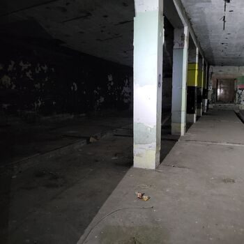 The abandoned bunker