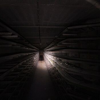 Versicherungsschutz unter dem Sitz der Autofirma Versicherungsschutz unter dem Sitz der Autofirma