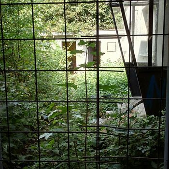 greenhouse building structure