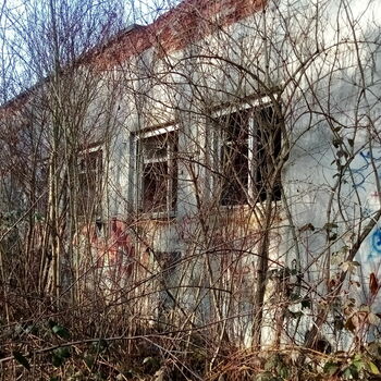 stodola zemědělské budovy Les strom budova struktura stromy krajina stodola zemědělské budovy Les strom budova struktura stromy krajina
