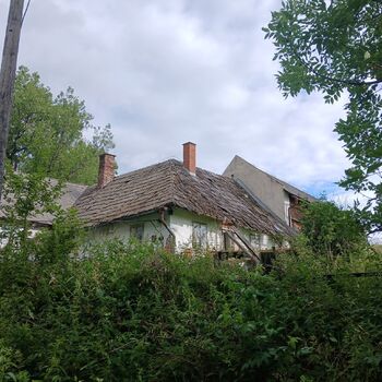Mill in the foothills