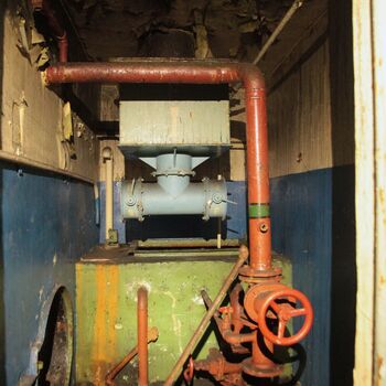 Maple 52 with swimming pool