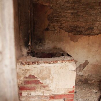 Pepper 2023 Pepper 2023