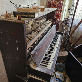 Das Haus beim Plüschtier.