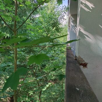 Another hotel Another hotel