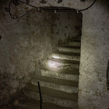 Landwirtschaftliche Fläche