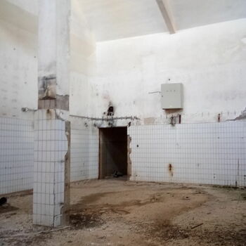 cell old wall cell old wall