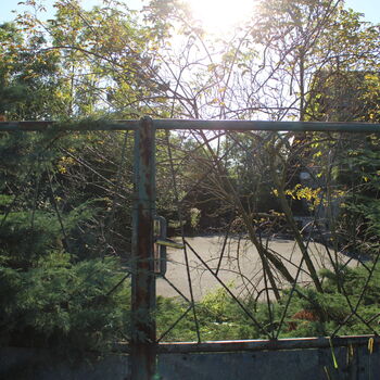 ᔕEᒪᔕKá ᕼOᔕᑭOᗪᗩ + ᗰᑌᒪTIKᖇᗩᐯíᑎ