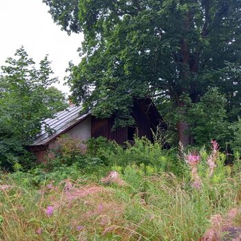 The disappearing sawmill