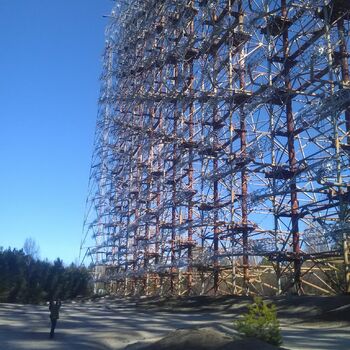 strom sníh Les zima stromy studené krajina woody plant