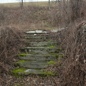 krok podpora krajina Les červa plot