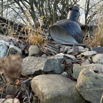 hory, DOLY, černý pes