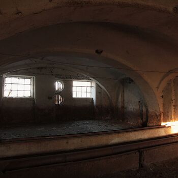 Schweinehüter Schweinehüter