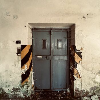 Timber production 2023