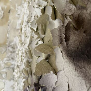 Plicní sanatorium📸