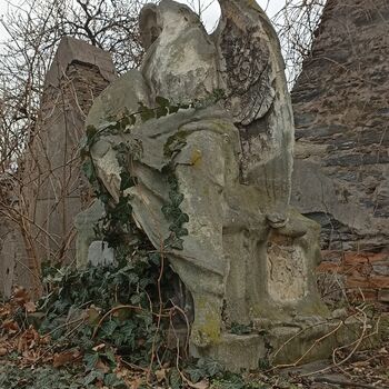 Friedhof 2022 Friedhof 2022