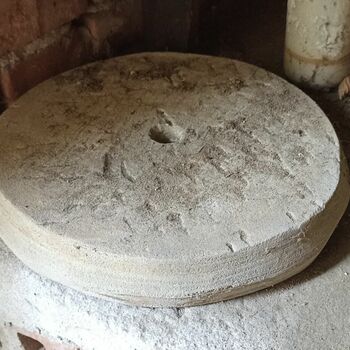 Abandoned House 2022