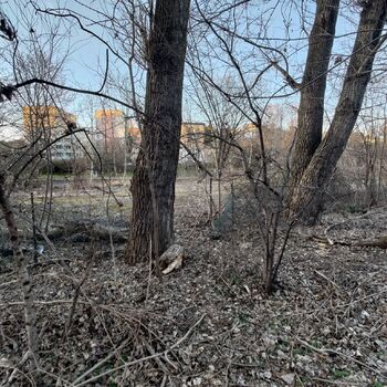 Opuštěné Železářství stavebniny Opuštěné Železářství stavebniny