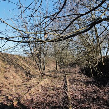 Trať nad kterou zlomil stát hůl Trať nad kterou zlomil stát hůl
