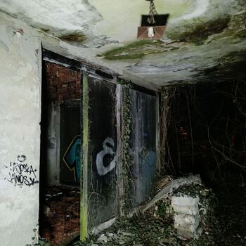 Das Haus der ermordeten Schauspielerin 💀 Das Haus der ermordeten Schauspielerin 💀