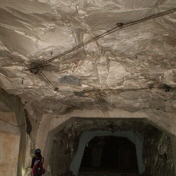 Richard Underground Factory