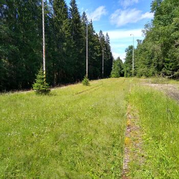 Bývalý vojenský prostor Radost