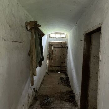 Abandoned Farmer's house