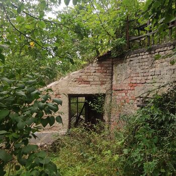 Haus von H.Z 🌿🪴🏚️ Haus von H.Z 🌿🪴🏚️