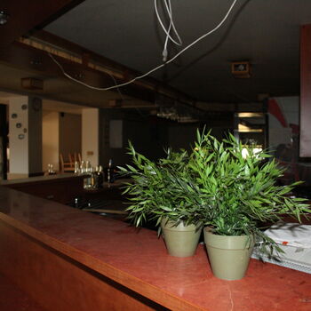 Návrat do opuštěné čínské restaurace...