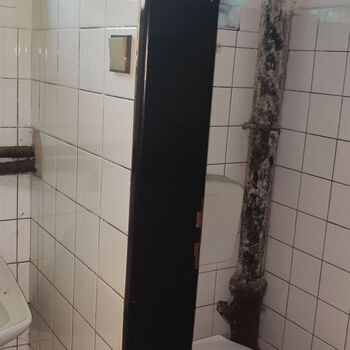 Schule in der Natur_2025