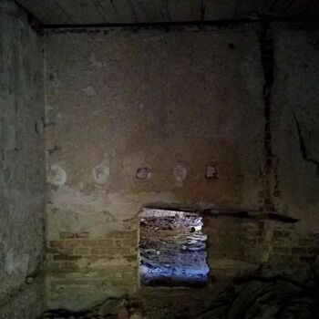cell wall old cell wall old