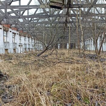 Panský dvůr 2023 Panský dvůr 2023