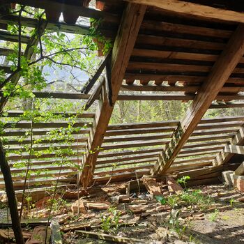 budova paprsek struktura skleníkové