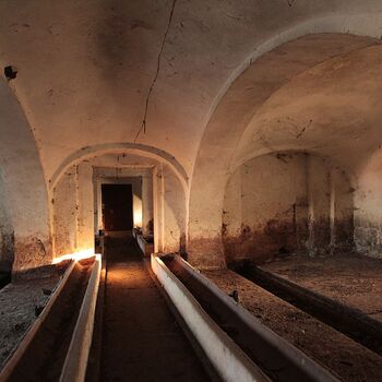 Schweinehüter Schweinehüter