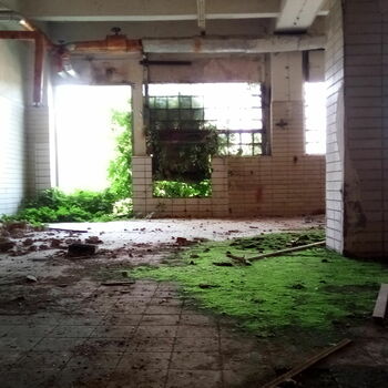 garden house home architecture patio garden house home architecture patio