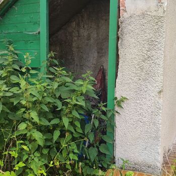 Schule in der Natur_2025