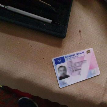 The House of the Schizophrenic The House of the Schizophrenic