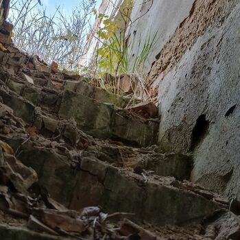 Cliff-Wohnung Baum Wohnung