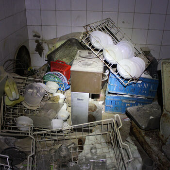 Schimmel für das Mittagessen