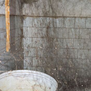 Abandoned farm building_2025