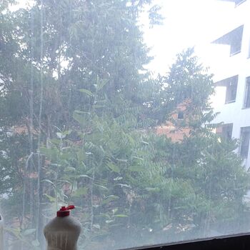 Typia Printing House 📜⏳🏚️